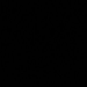 Meet your Posher, Shaquita